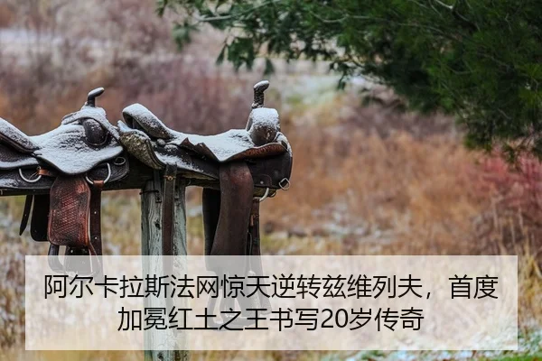 a-er-ka-la-si-fa-wang-jing-tian-ni-zhuan-zi-wei-lie-fu-shou-du-jia-mian-hong-tu-zhi-wang-shu-xie-sui-chuan-qi-2-312.jpg